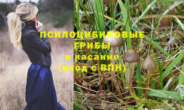 прущие крисы Чегем
