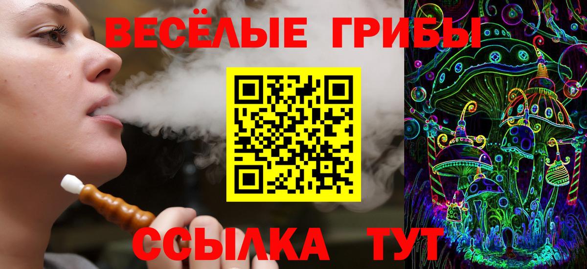 цены наркотик  Псилоцибиновые грибы GOLDEN TEACHER  Псилоцибиновые грибы прущие грибы  Вход с VPN  Рязань 