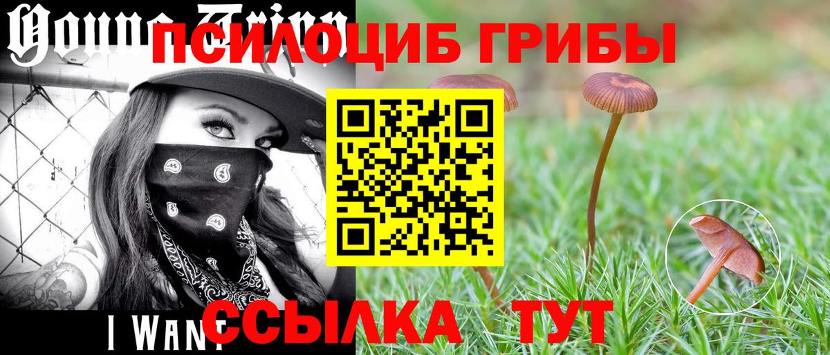 Псилоцибиновые грибы MAGIC MUSHROOMS Рязань